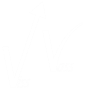 Vissvass Consulting Logo